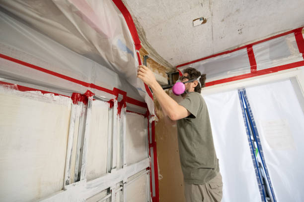 Environmental Consulting for Mold Prevention